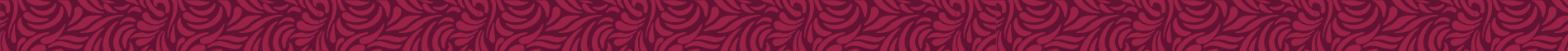 Footer Institucional